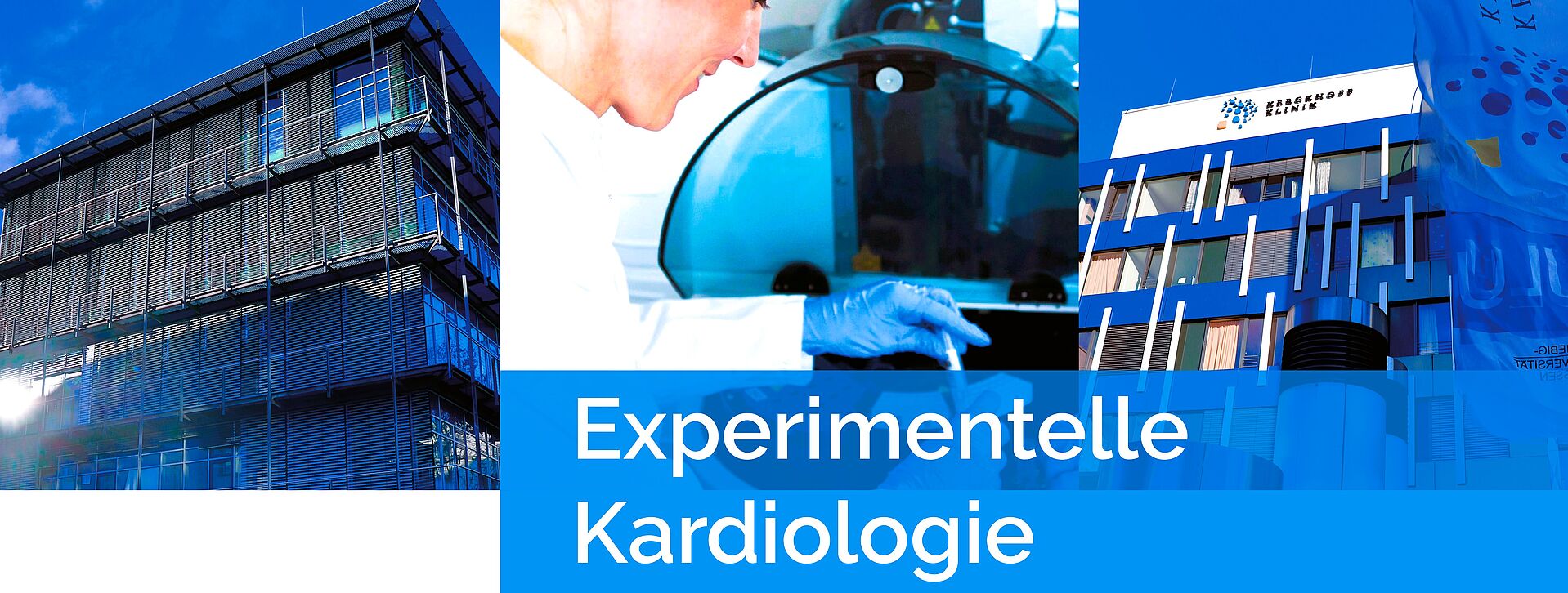 Experimentelle Kardiologie