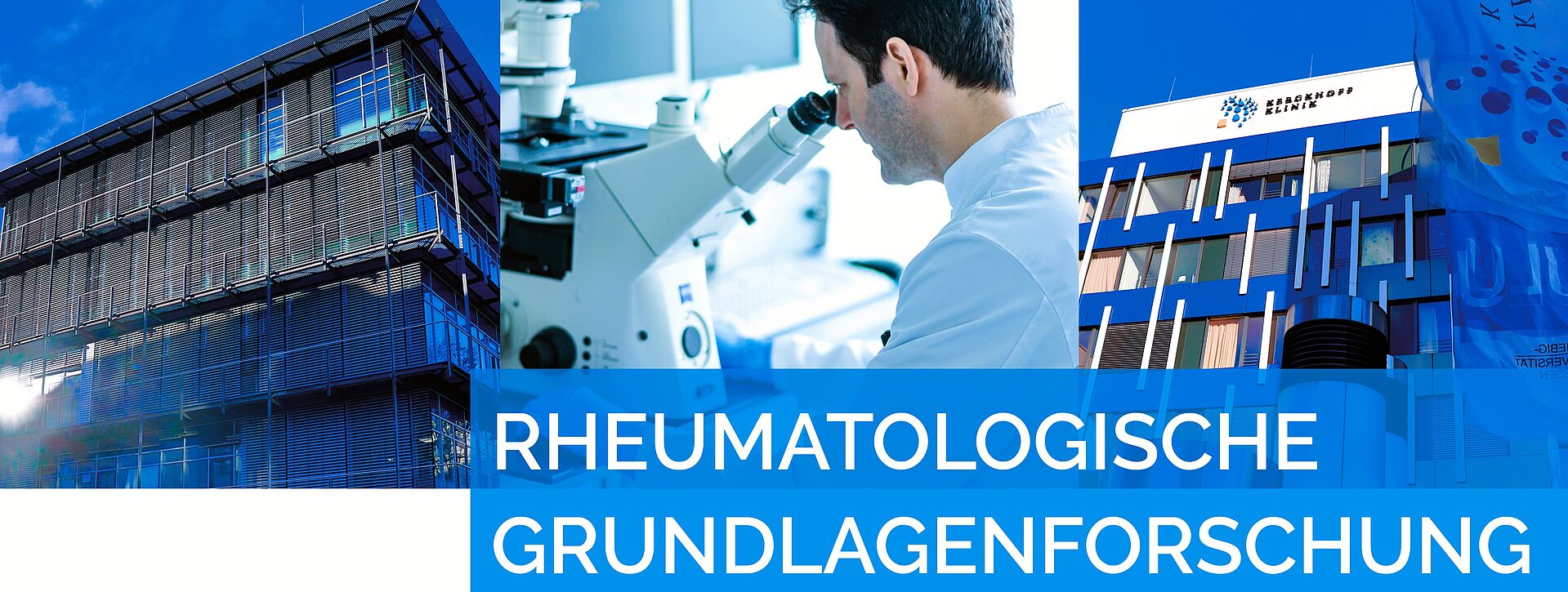 Rheumatologische Forschung
